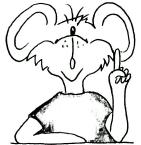 Joris de Muis
